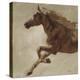 Trot-Julianne Marcoux-Stretched Canvas