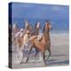 Trotting Races, Lancieux, Brittany, 2014-Lincoln Seligman-Premier Image Canvas