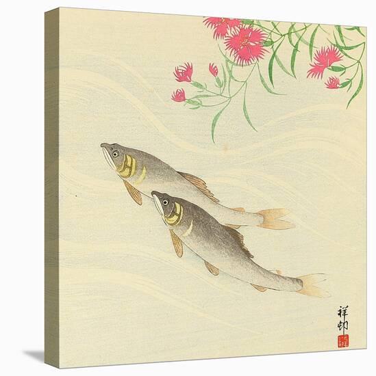 Trouts and Wild Pink-Koson Ohara-Premier Image Canvas