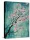 True Cherry Blossoms-Alexys Henry-Premier Image Canvas