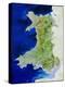 True Colour Satellite Image of Wales-PLANETOBSERVER-Premier Image Canvas