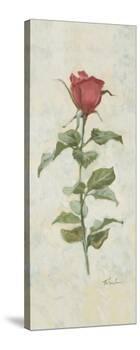 True Love-Telander-Stretched Canvas