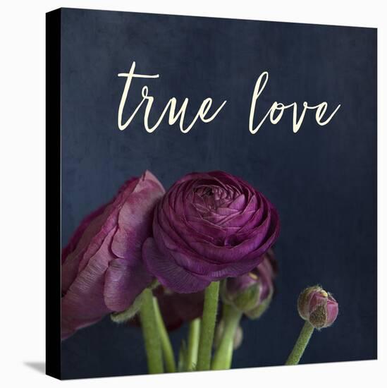 True Love-Susannah Tucker-Stretched Canvas