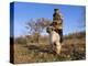 Truffle Producer with Pig Searching for Truffles in January, Quercy Region, France-Adam Tall-Premier Image Canvas