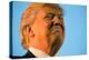 Trump Torture-Andrew Harnik-Premier Image Canvas