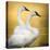 Trumpeter Swans, Yellowstone National Park, Wyoming-Maresa Pryor-Premier Image Canvas