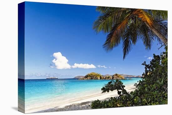 Trunk Bay Palm Tree St John USVI-George Oze-Premier Image Canvas