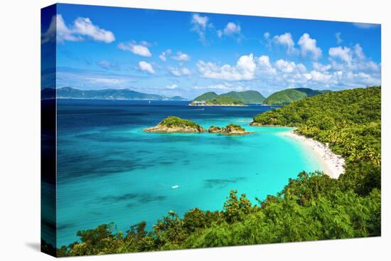 Trunk Bay, St John, United States Virgin Islands.-SeanPavonePhoto-Premier Image Canvas