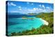 Trunk Bay, St John, United States Virgin Islands.-SeanPavonePhoto-Premier Image Canvas
