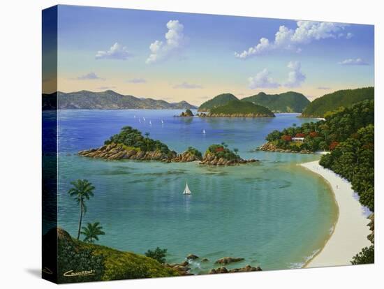 Trunk Bay - Virgin Islands-Eduardo Camoes-Premier Image Canvas