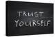 Trust Yourself-Yury Zap-Stretched Canvas