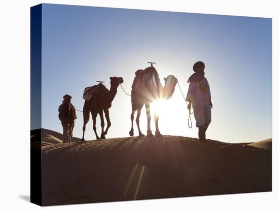 Tuareg Man with Camel Train, Erg Chebbi, Sahara Desert, Morocco-Peter Adams-Premier Image Canvas