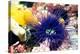 Tube Anemone-Georgette Douwma-Premier Image Canvas