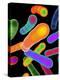 Tuberculosis Bacteria, Artwork-Mehau Kulyk-Premier Image Canvas