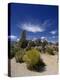 Tufa Rock Formations on a Landscape, Mono Lake, California, USA-null-Premier Image Canvas