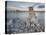 Tuff, Mono Lake, California, Usa-Rainer Mirau-Premier Image Canvas