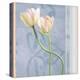 Tulip and Blue Tapestry I-Richard Sutton-Stretched Canvas