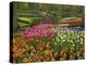 Tulip and Hyacinth Garden, Keukenhof Gardens, Lisse, Netherlands, Holland-Adam Jones-Premier Image Canvas