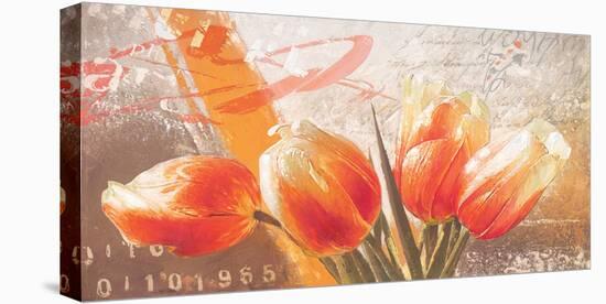 Tulip Bench-Gerard Beauvoir-Stretched Canvas