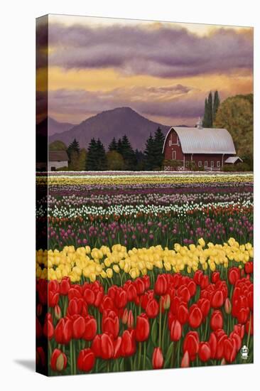 Tulip Farm-Lantern Press-Stretched Canvas