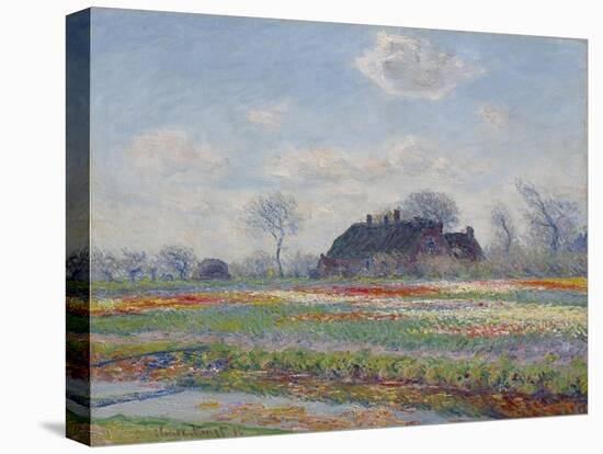 Tulip Fields at Sassenheim, 1886 (Oil on Canvas)-Claude Monet-Premier Image Canvas