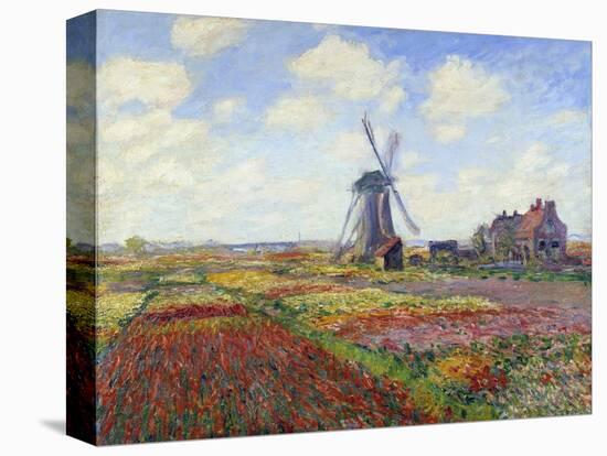 Tulip Fields in Holland by Claude Monet-null-Premier Image Canvas