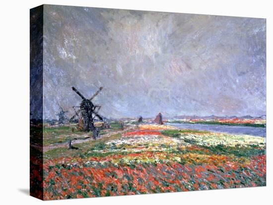 Tulip Fields Near Leiden, 1886-Claude Monet-Premier Image Canvas