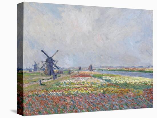 Tulip Fields near the Hague Par Monet, Claude (1840-1926). Oil on Canvas, Size : 66X81,5, 1886, Van-Claude Monet-Premier Image Canvas
