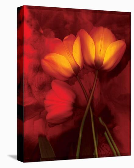 Tulip Fiesta in Red and Yellow I-Richard Sutton-Stretched Canvas