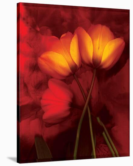 Tulip Fiesta in Red and Yellow I-Richard Sutton-Stretched Canvas