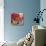 Tulip Firework-Nel Whatmore-Stretched Canvas displayed on a wall