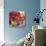 Tulip Firework-Nel Whatmore-Stretched Canvas displayed on a wall
