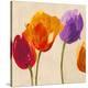 Tulip Funk companion-Luca Villa-Stretched Canvas