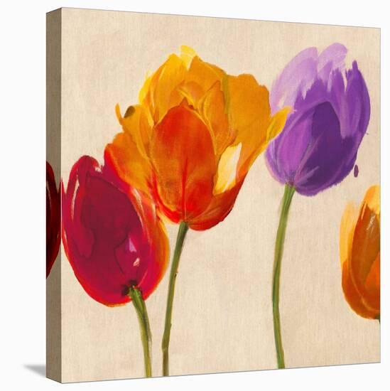 Tulip Funk companion-Luca Villa-Stretched Canvas