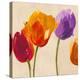 Tulip Funk companion-Luca Villa-Stretched Canvas