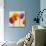 Tulip Funk companion-Luca Villa-Stretched Canvas displayed on a wall