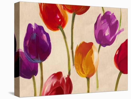 Tulip Funk-Luca Villa-Stretched Canvas