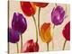 Tulip Funk-Luca Villa-Stretched Canvas