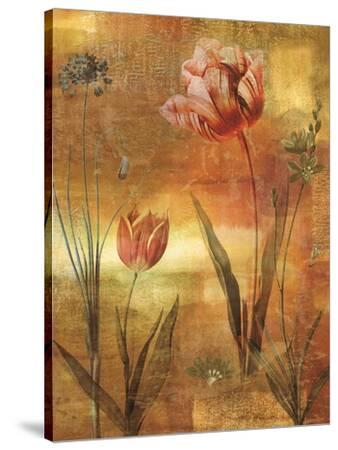 Tulip Garden Ii Stretched Canvas Print John Seba Art Com Tulip Garden Ii Stretched Canvas Print John Seba Art Com