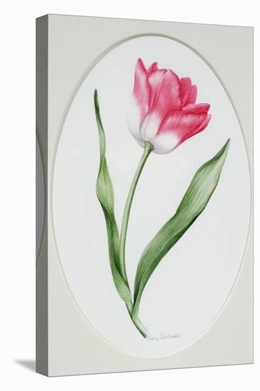 Tulip Meissner Porzellan Singe-Sally Crosthwaite-Premier Image Canvas