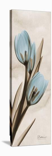 Tulip Moments-Albert Koetsier-Stretched Canvas