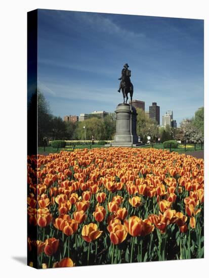 Tulip Patch with Statue of Washington, Boston, Massachusetts,USA-Walter Bibikow-Premier Image Canvas