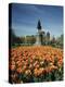 Tulip Patch with Statue of Washington, Boston, Massachusetts,USA-Walter Bibikow-Premier Image Canvas