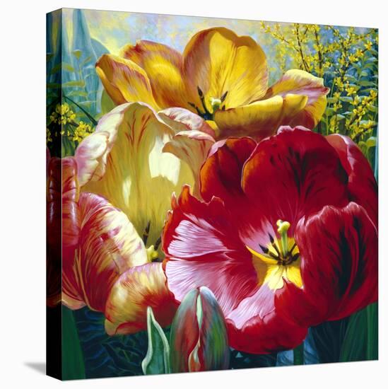 Tulip Trio-Elizabeth Horning-Premier Image Canvas