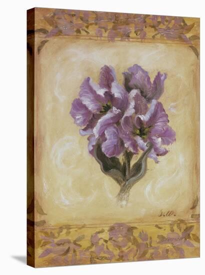 Tulip Violeta-Shari White-Stretched Canvas