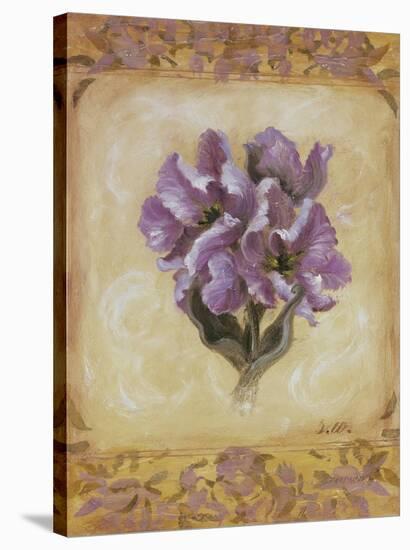 Tulip Violeta-Shari White-Stretched Canvas