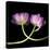 tulip-Magda Indigo-Premier Image Canvas