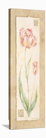 Tulip-Pamela Gladding-Stretched Canvas