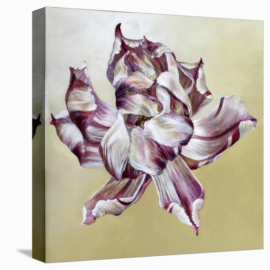 Tulipa, 2013-Odile Kidd-Premier Image Canvas