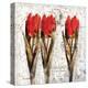 Tulipa Formation-Joadoor-Stretched Canvas